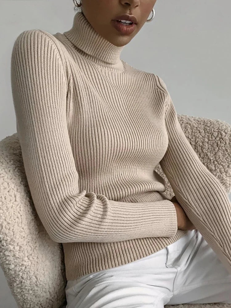 Women's Fall Turtleneck Soft Sweaters